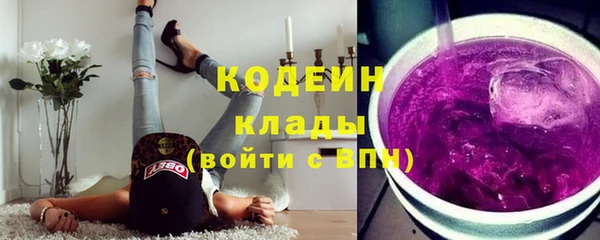 прущие крисы Тында