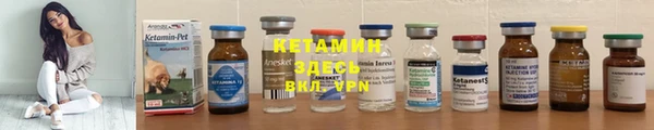 прущие крисы Тында