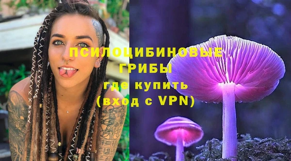 прущие крисы Тында
