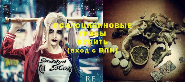 прущие крисы Тында