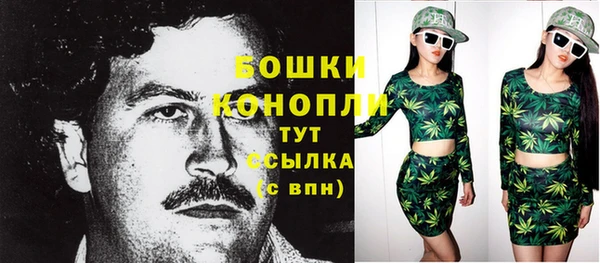 крисы Тутаев