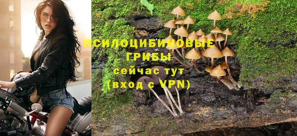 прущие крисы Тында