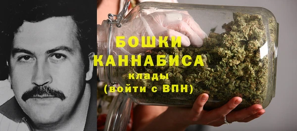 крисы Тутаев