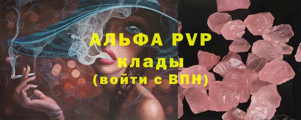крисы Тутаев